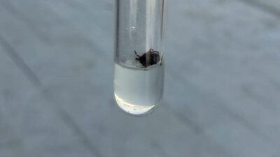 KKKA 22 yılda 819 kişinin ölümüne yol açtı