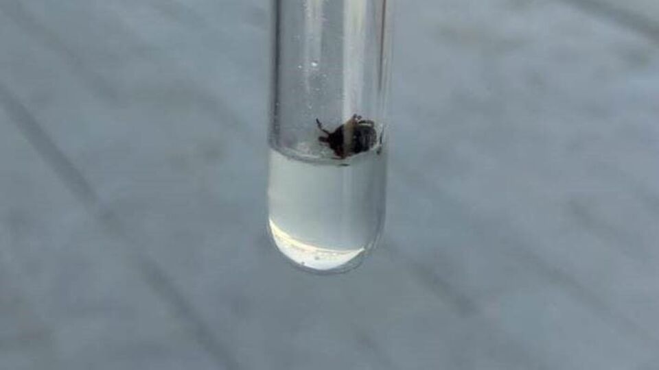 KKKA 22 yılda 819 kişinin ölümüne yol açtı