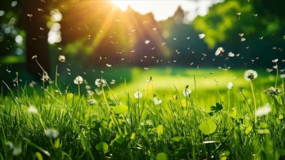 İklim değişikliği, polen mevsimini de etkiledi