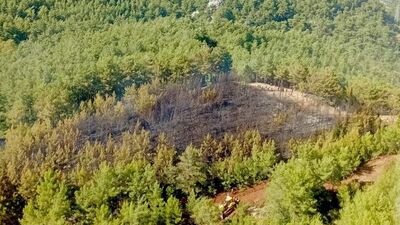 Marmaris'teki orman yangını kontrol altında