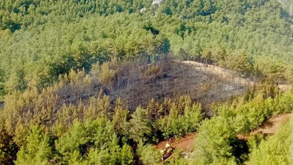 Marmaris'teki orman yangını kontrol altında