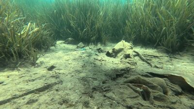 Denizden 223 kilogram atık çıkarıldı