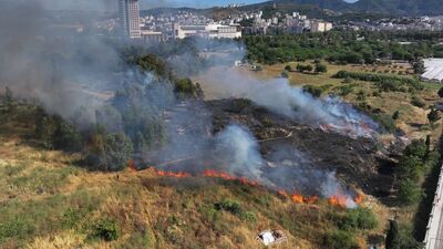 İzmir'de ağaçlık ve otluk alanda yangın