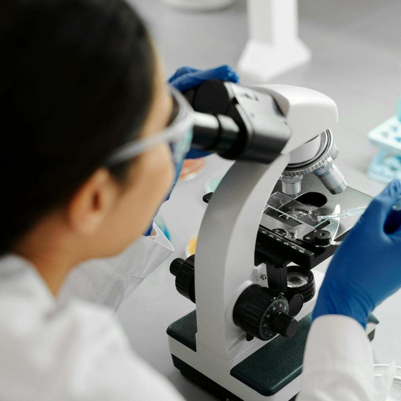 Tarımsal Genetik Mühendisliği Bölümü