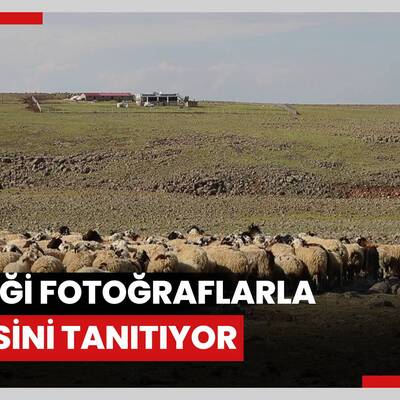 Diyarbakırl'ı çoban hayvan otlatırken çektiği fotoğraflarla yöresini tanıtıyor
