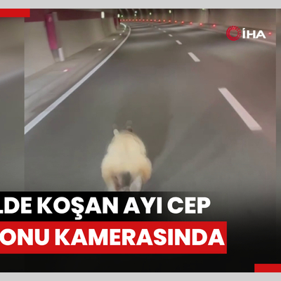 Tünelde koşan ayı cep telefonu kamerasında