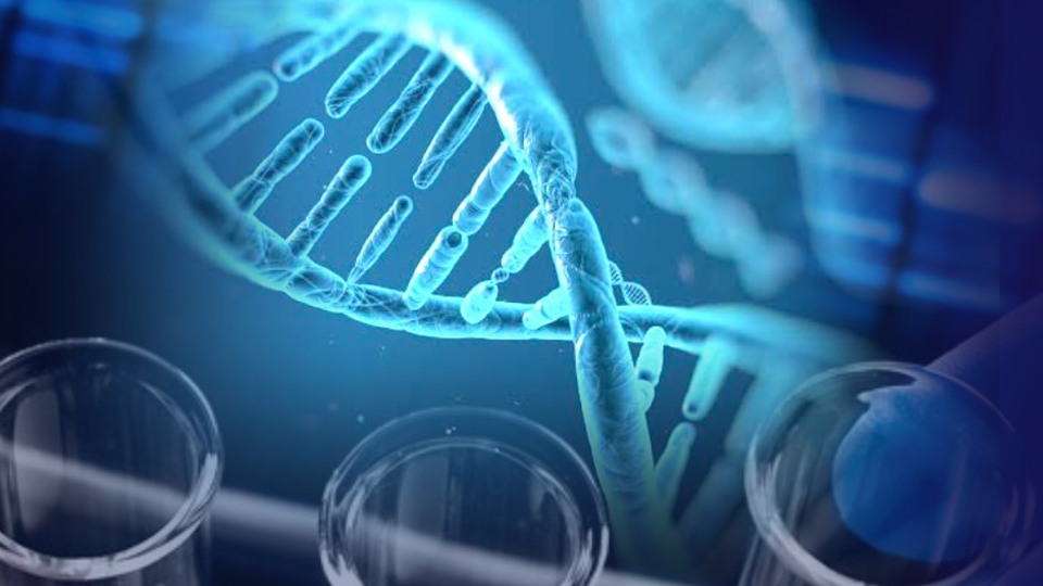 "Genetik kodu daha iyi anlarsak o önemli hastalığı yok edebiliriz"