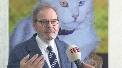 Cüneyd Zapsu gençlerle buluştu