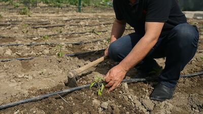 Ankara Valiliği'nden 'hobi bahçeleri' açıklaması