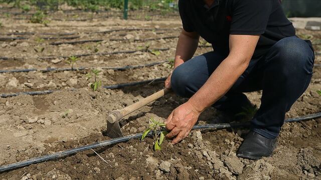 Ankara Valiliği'nden 'hobi bahçeleri' açıklaması