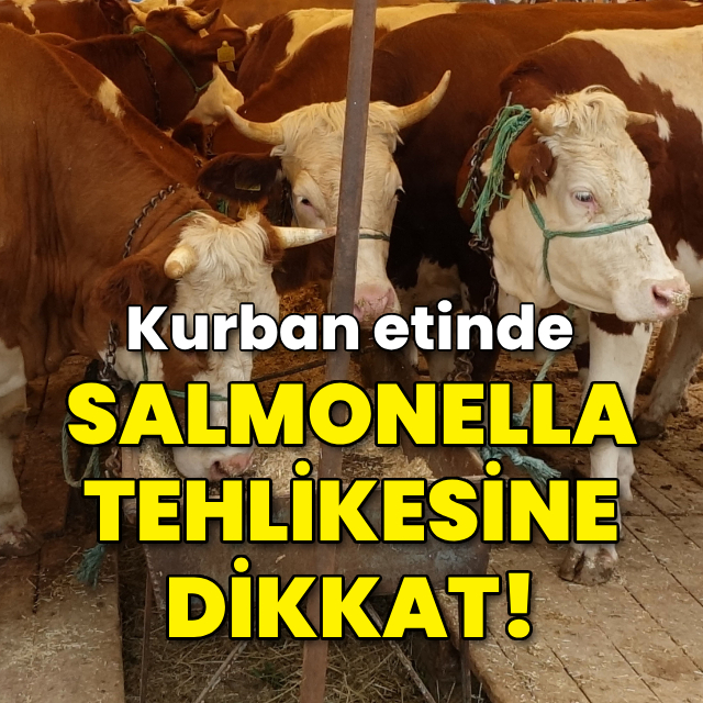 Kurban etinde 'salmonella bakterisi'ne dikkat!