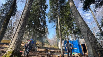 Ormancı nasıl olunur?