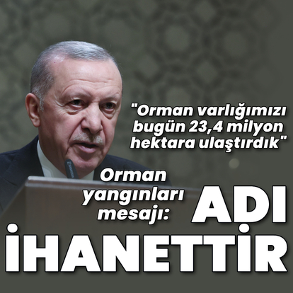 Cumhurbaşkanı Erdoğan'dan orman yangınları mesajı: Adı ihanettir