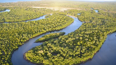 L'Oréal Türkiye'den 50 bin tohumla doğaya katkı