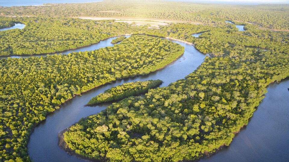 L'Oréal Türkiye'den 50 bin tohumla doğaya katkı
