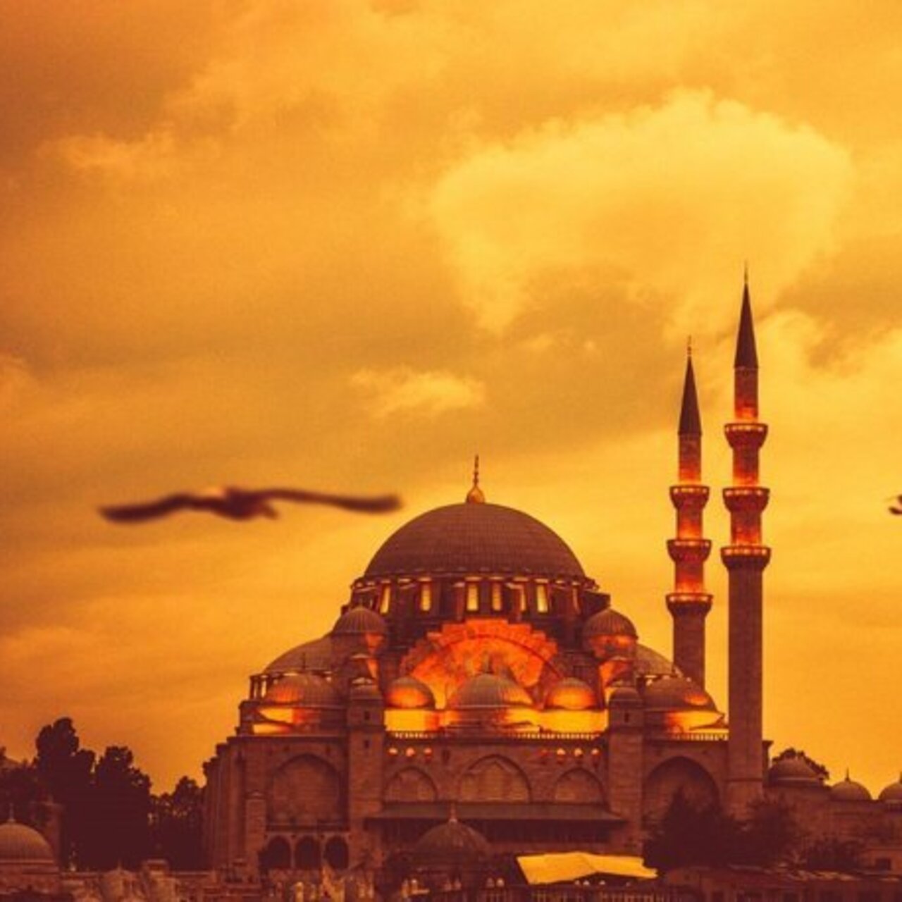 Resimli Kurban Bayramı mesajları