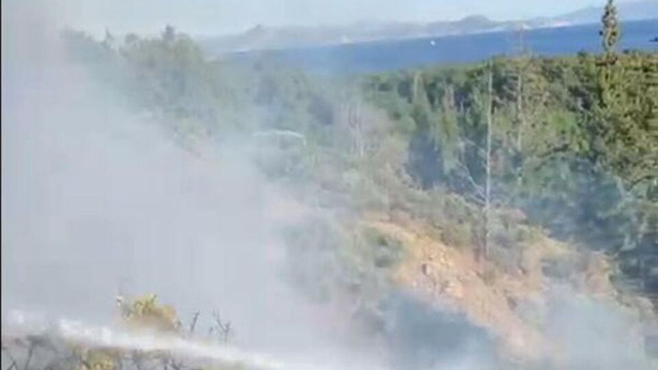 Aydın ve Muğla'da çıkan orman yangınları söndürüldü