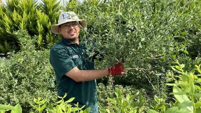 23 yaşındaydı staj yapıyordu... Üniversiteli gençten kahreden haber!