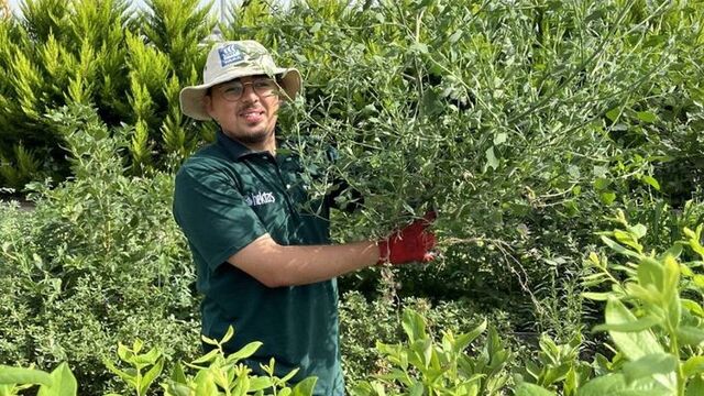 23 yaşındaydı staj yapıyordu... Üniversiteli gençten kahreden haber!