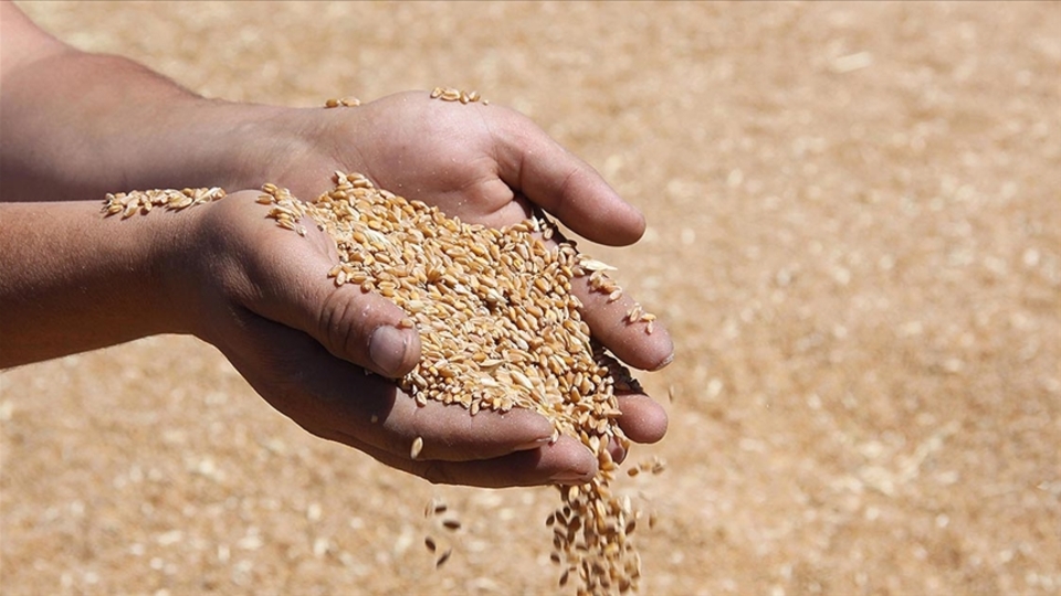 Hububat alım fiyatları belli oldu