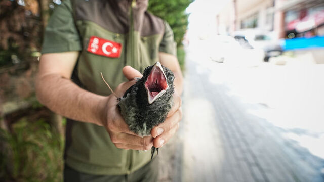 Yaralı arkadaşlarının yerini gösterdiler