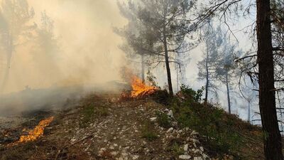 Balıkesir'de orman yangını