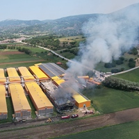 Yumurta tesisi alevlere teslim! 150 bin tavuk öldü!
