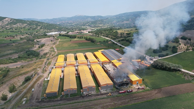 Yumurta tesisi alevlere teslim! 150 bin tavuk öldü!