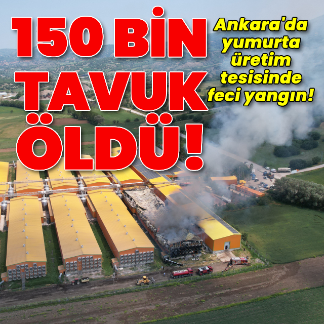 Yumurta tesisi alevlere teslim! 150 bin tavuk öldü!