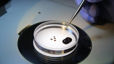 Bakanlıktan "Kırım Kongo Kanamalı Ateşi" uyarısı