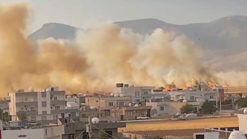 350 dönüm buğday ekili alan yandı