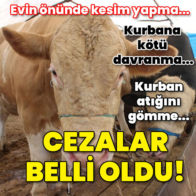Sokakta kurban kesip atıkları gömmenin cezası belli oldu!