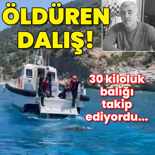 Takip ettiği balık 30 kiloluktu... Öldüren dalış!