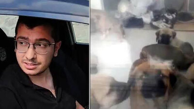 Çok sayıda hayvana cinsel istismar! Sapık doktora istenen ceza belli oldu!