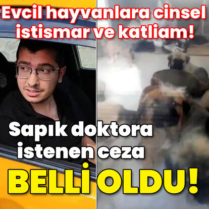 Çok sayıda hayvana cinsel istismar! Sapık doktora istenen ceza belli oldu!