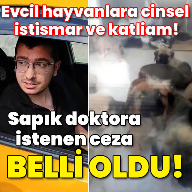 Çok sayıda hayvana cinsel istismar! Sapık doktora istenen ceza belli oldu!