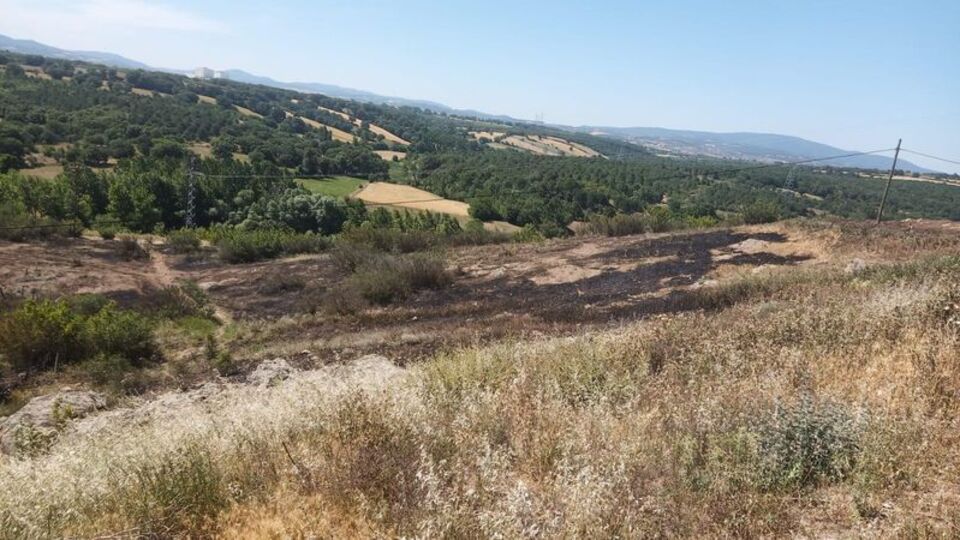 Karga yangın çıkardı