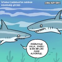 Can Baytak karikatürleri (Haziran 2025)