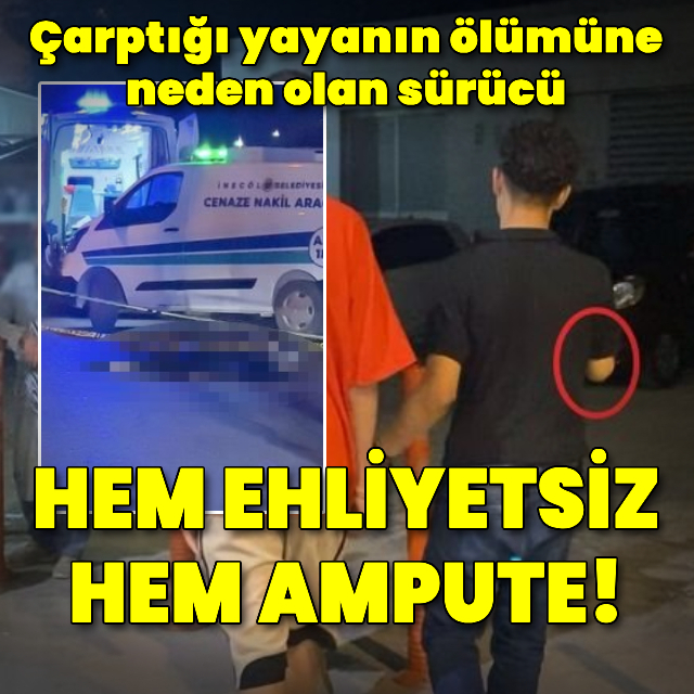 Ehliyetsiz ve ampute sürücünün çarptığı yaya öldü