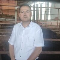 Müşterisi rica etti... Kurban fotoğrafı ölümü oldu!