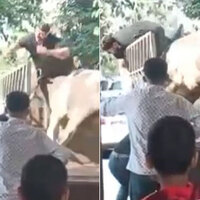 Urfa haberleri: O anlar kamerada! Boğa kasabı boynuzlarıyla savurdu | Son dakika haberleri