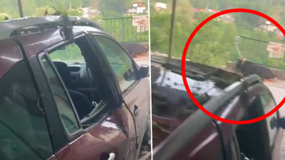 Çatı çöktü! Kurbanlık boğa, otomobilin üzerine düştü!