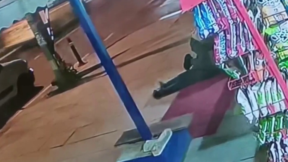 Önce saldırdı, sonra kalp masajı yaptı!