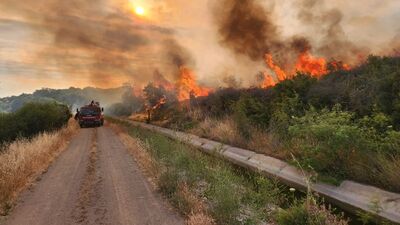Bakan Yumaklı'dan orman yangını uyarısı