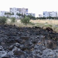 İzmir'de otluk ve ağaçlık alanda çıkan yangın söndürüldü - Güncel haberler thumbnail