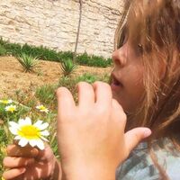 Zincirleme kazada araçtan fırladı! Kahreden haber!