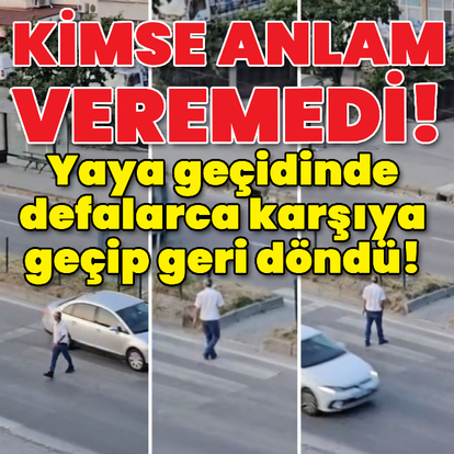 Yaya geçidinde akılalmaz anlar!