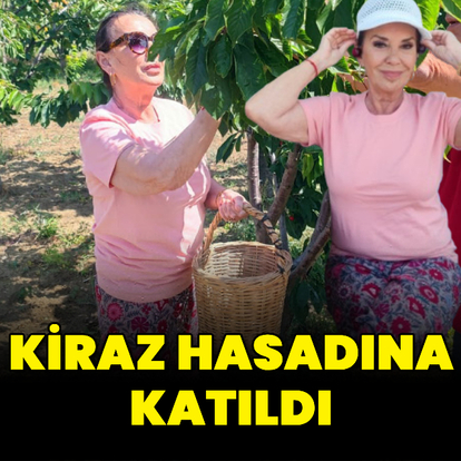 Kiraz hasadına katıldı