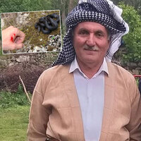 Hayvanları için ot biçiyordu görmedi... Isırdı ve öldürdü!