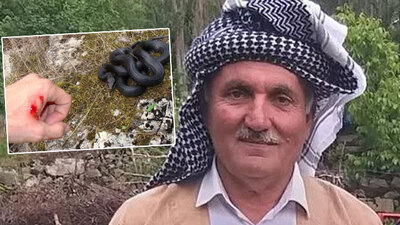 Hayvanları için ot biçiyordu görmedi... Isırdı ve öldürdü!
